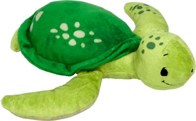 Liebling-Schildkröte Joelle Tourlonias