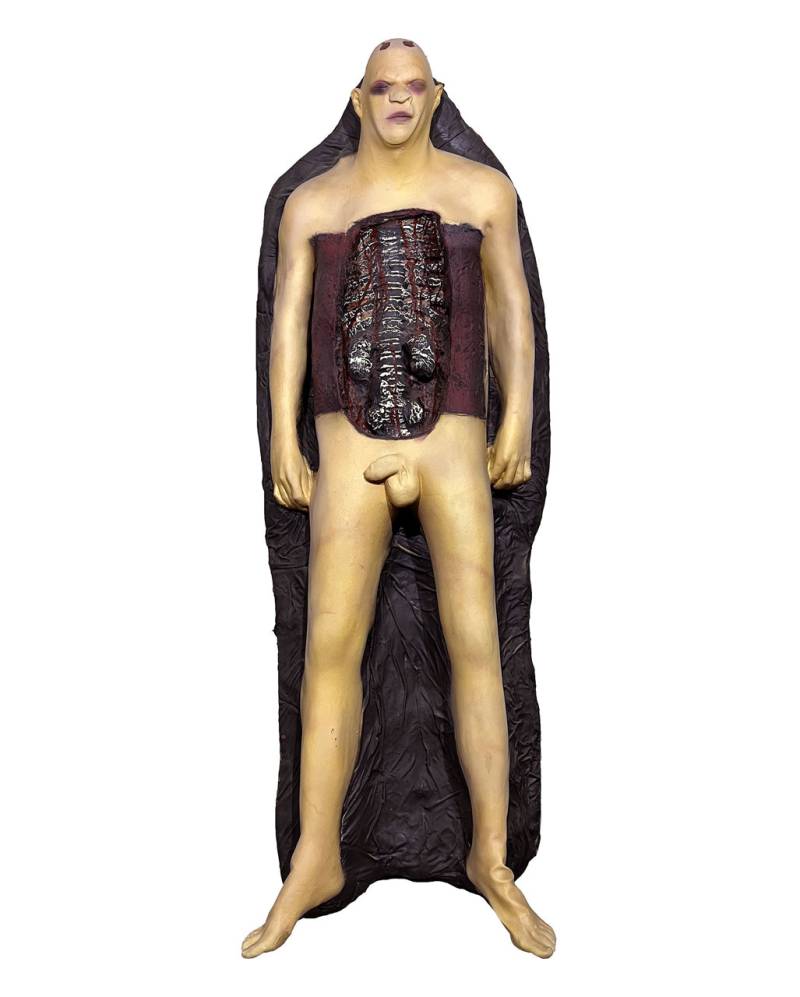 Männliche Leichenpuppe John Doe Männliche Leichenpuppe John Doe