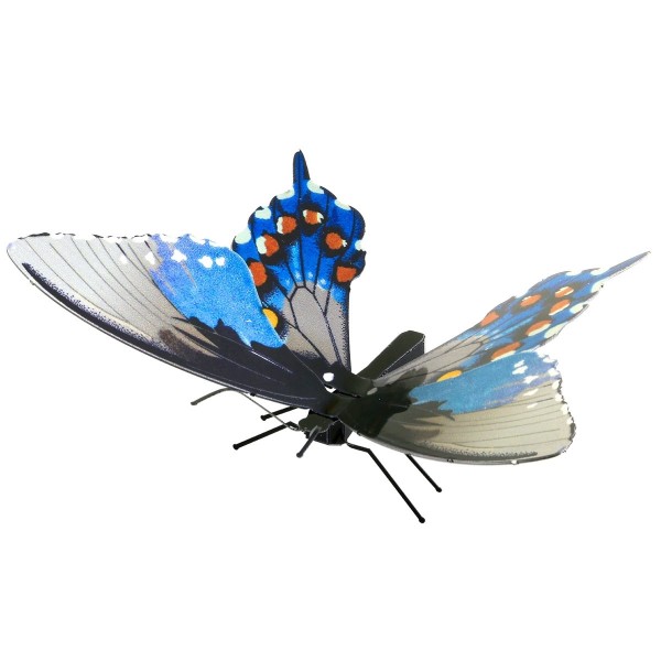 Metal Earth: Schmetterling Pipevine Swallowtail Metal Earth: Schmetterling Pipevine Swallowtail