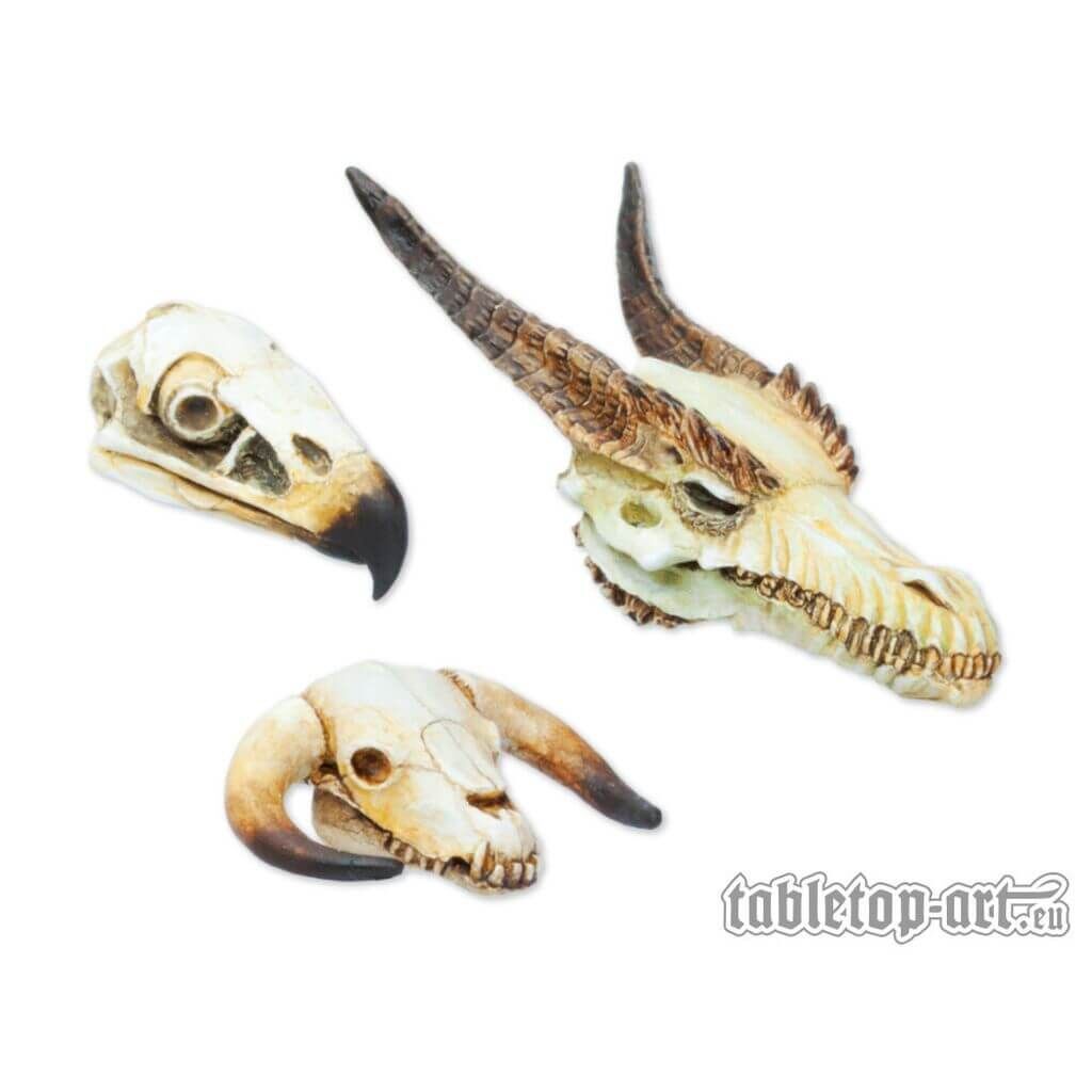 Monster-Schädel Set Monster-Schädel Set