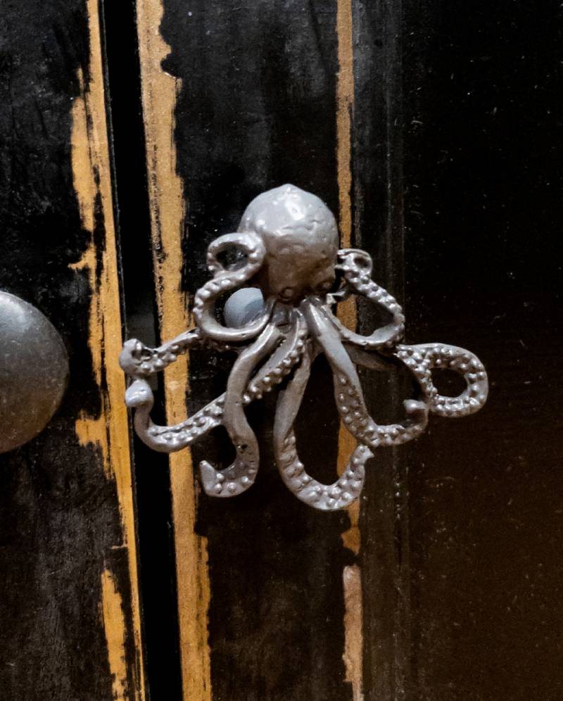 Oktopus Schubladengriff Oktopus Schubladengriff