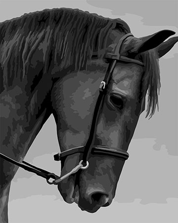 Pferd in Graut�nen Pferd in Graut�nen