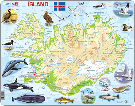 Physische Karte - Island mit Tieren
