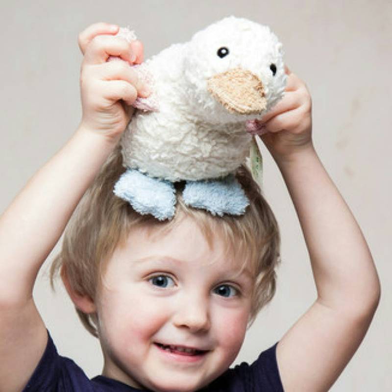 Plüsch Entchen rosa blau 20 cm Plüsch Entchen rosa blau 20 cm