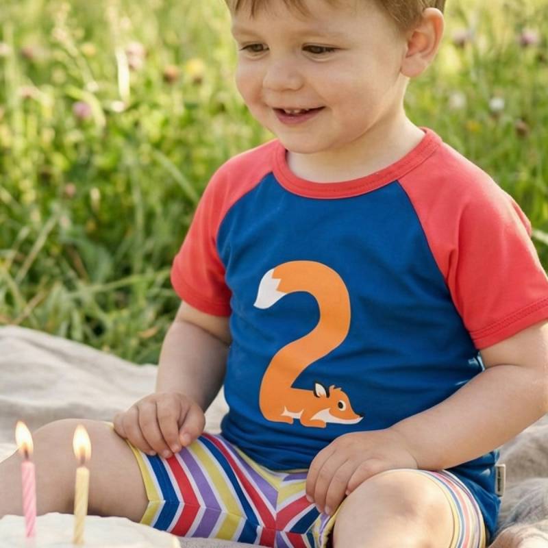 Raglanshirt kurzarm 2 Jahre Schwan 92/98