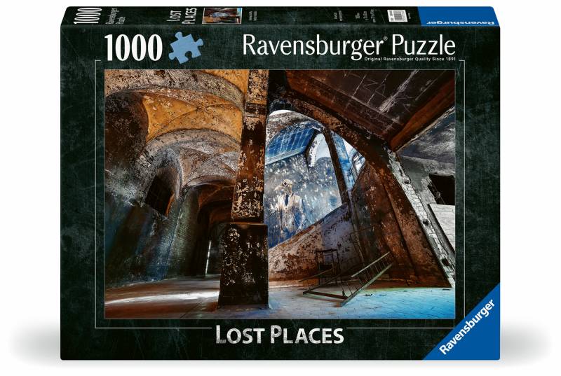 Ravensburger - Puzzle 1000 Teile - Alpenhaus Graffito Beelitzer Heilstätten