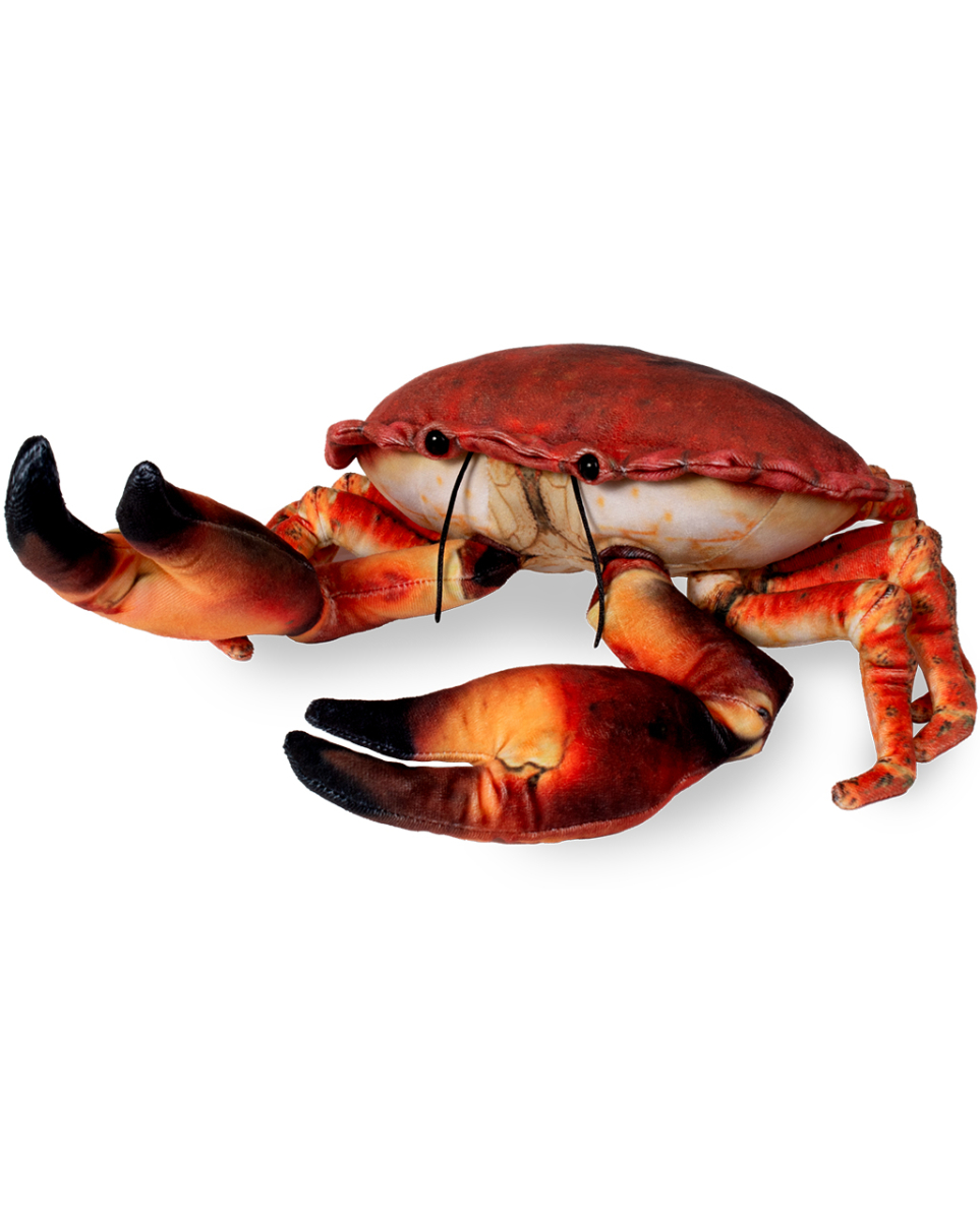 Rote Krabbe Plüschtier 20cm