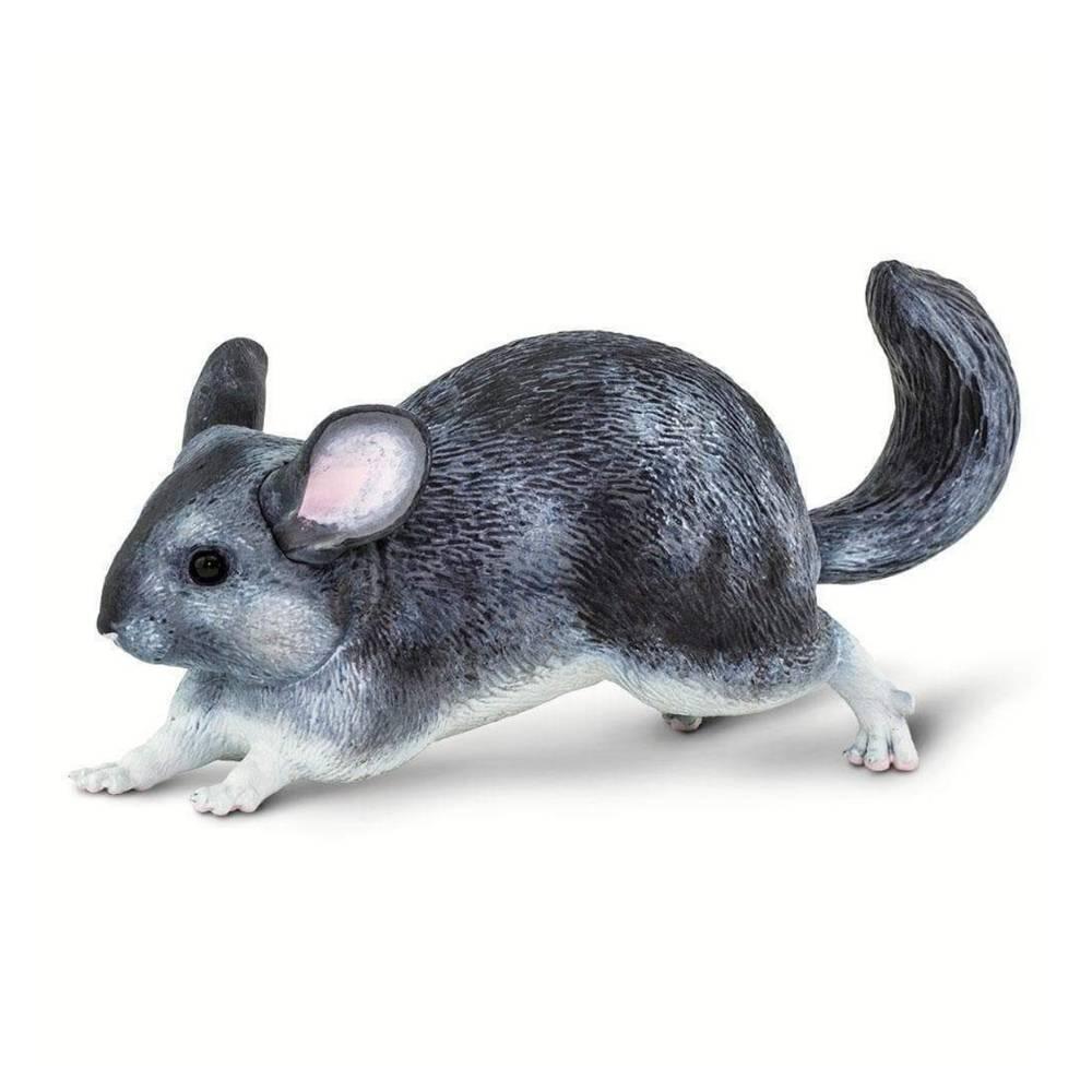 Safari - Chinchilla Safari - Chinchilla