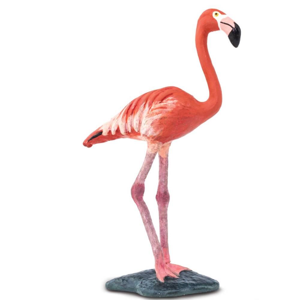 Safari - Flamingo Safari - Flamingo