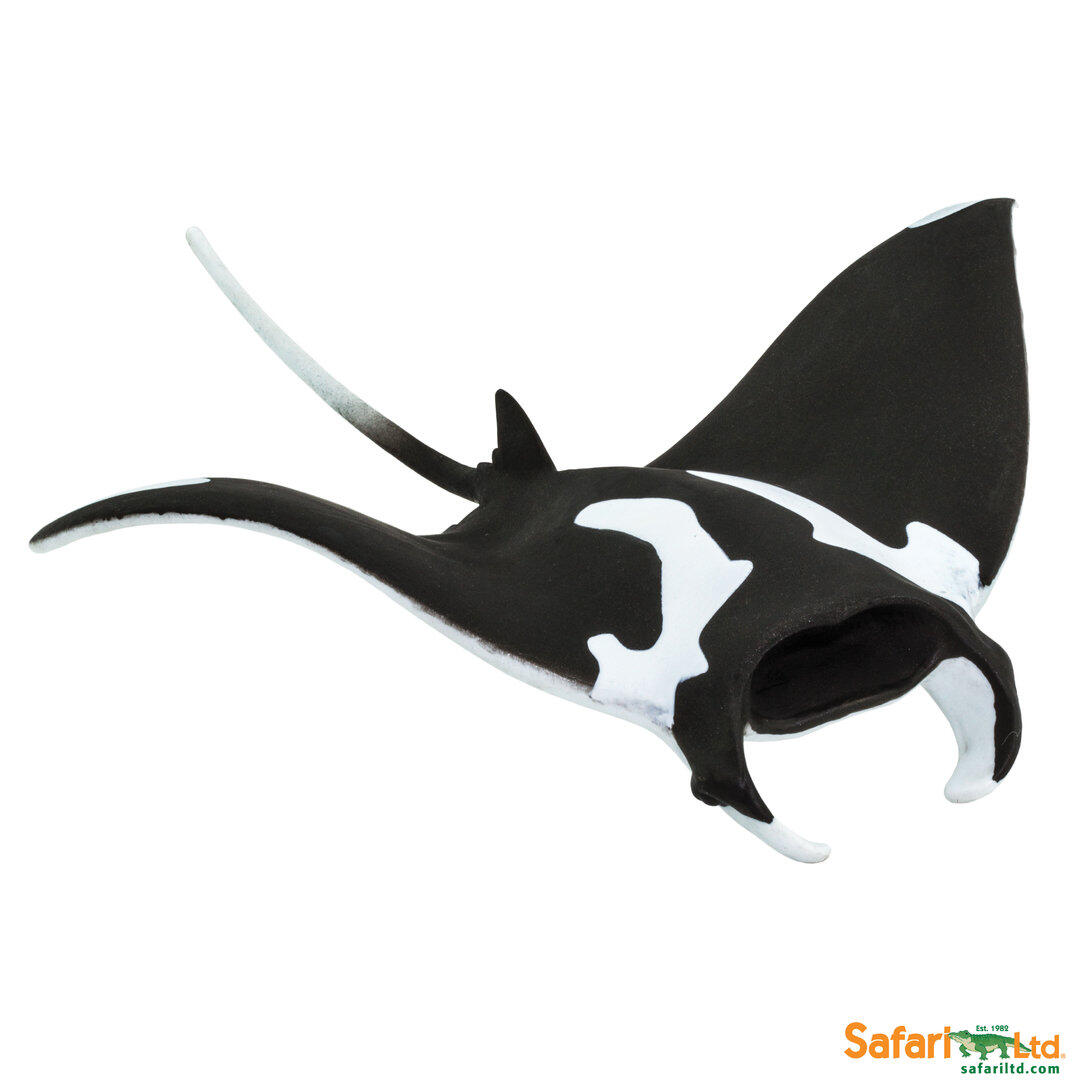 Safari - Mantarochen Safari - Mantarochen