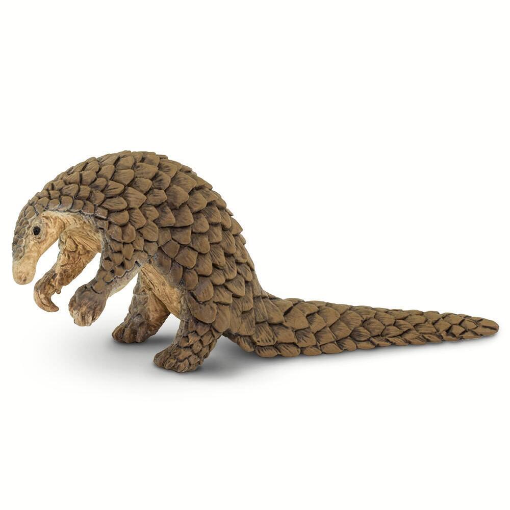 Safari - Pangolin Safari - Pangolin