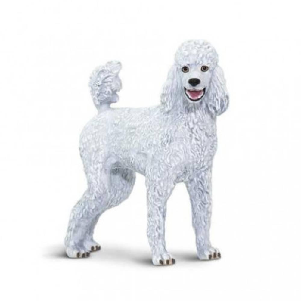 Safari - Pudel Safari - Pudel