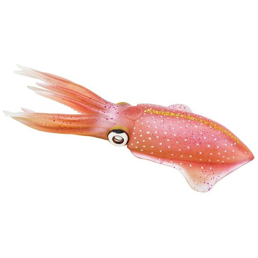 Safari - Riffkalmar Safari - Riffkalmar