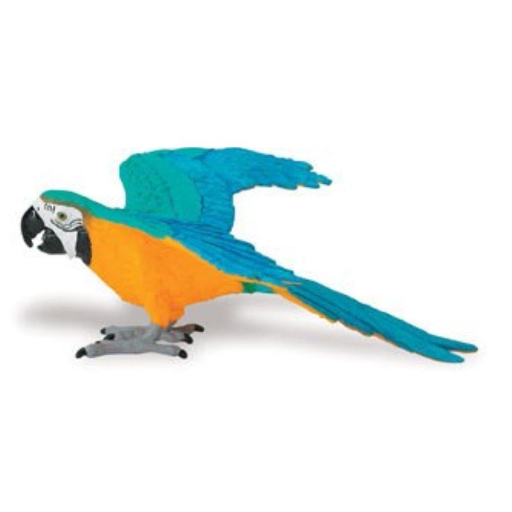 Safari - Safari Ara Safari - Safari Ara