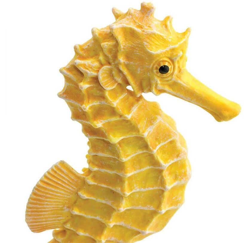 Safari - Seepferdchen Safari - Seepferdchen