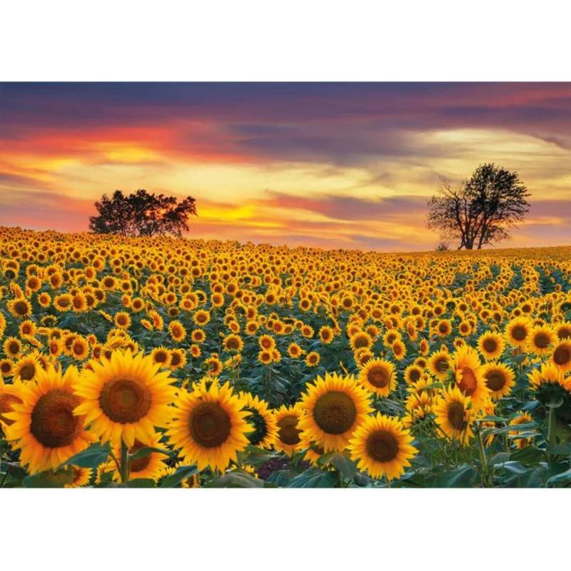 Wentworth Puzzles - Holzpuzzle Sunflower Field, 80 Teile