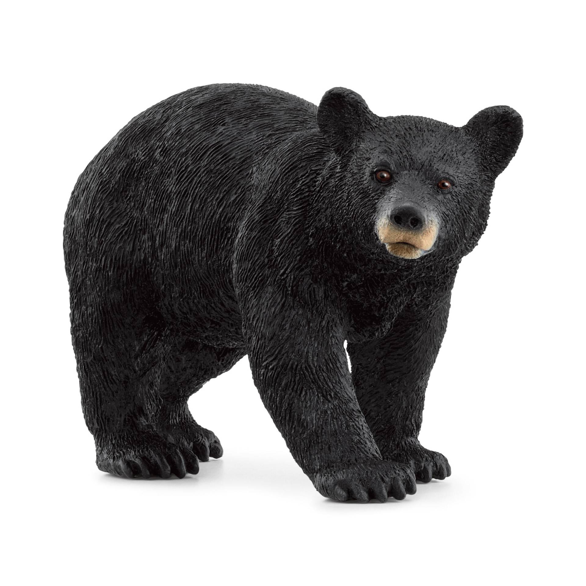 Schleich - Schleich - Wild Life - Amerikanischer Schwarzbaer - Spielfigur Schleich - Schleich - Wild Life - Amerikanischer Schwarzbaer - Spielfigur