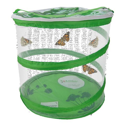 Schmetterlings-Geschenk-Set
