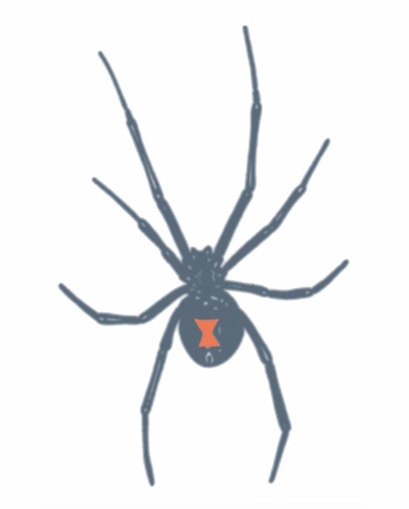 Schwarze Witwe Knast-Tattoo zum Aufkleben Schwarze Witwe Knast-Tattoo zum Aufkleben