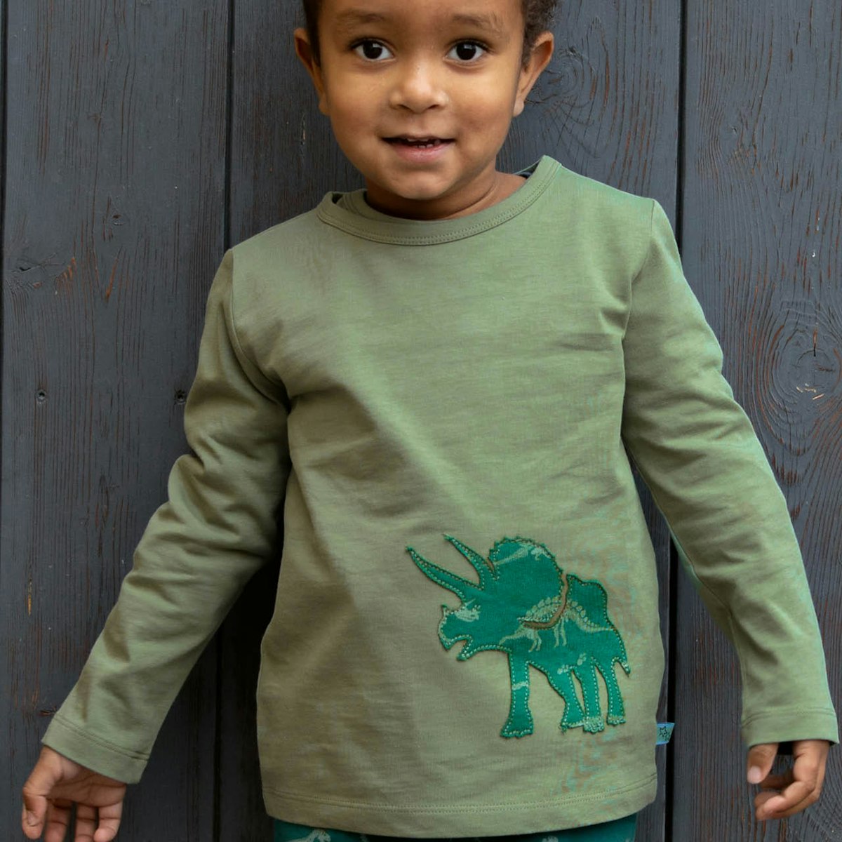 Shirt langarm Dino Aufnäher pistazien-grün 158/164
