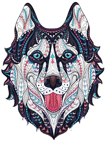 Sibirischer Husky