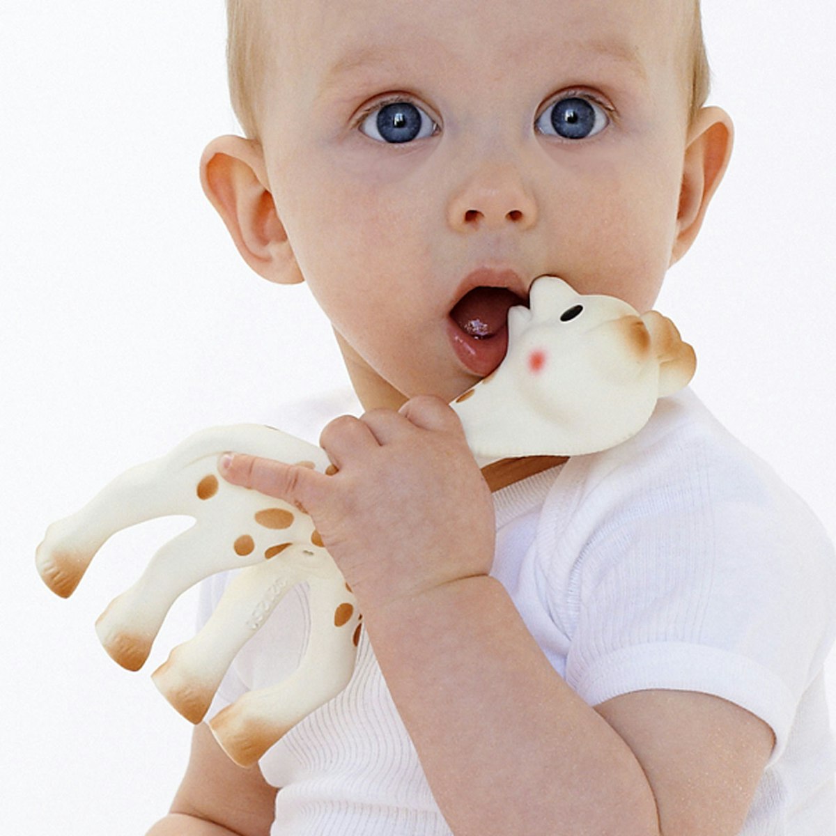 Beliebtes Beißspielzeug aus Naturkautschuk für Babys ab Geburt von VULLI