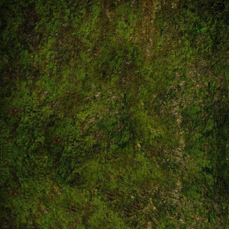 Spielmatte Undergrowth 48x48 Spielmatte Undergrowth 48x48