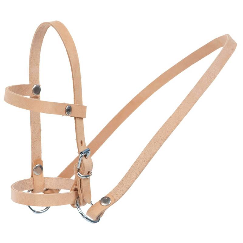 Steckenpferd Halfter