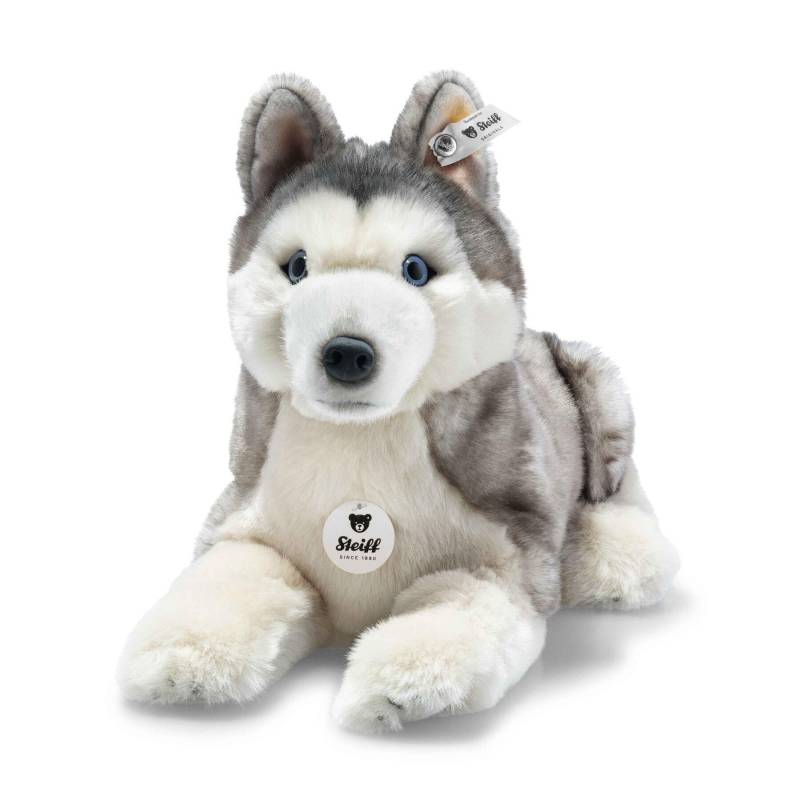 Steiff - Bernie Husky 33 cm grau weiß liegend Kuscheltier Hund