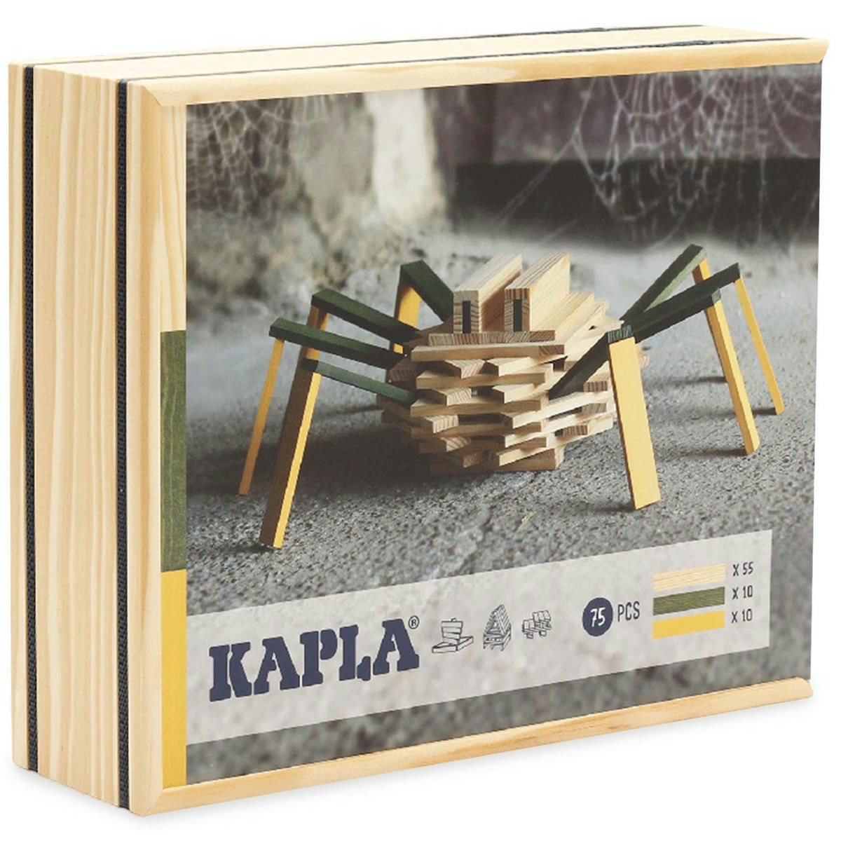 Steine Set Spinne in Holzkiste ab 7 J.