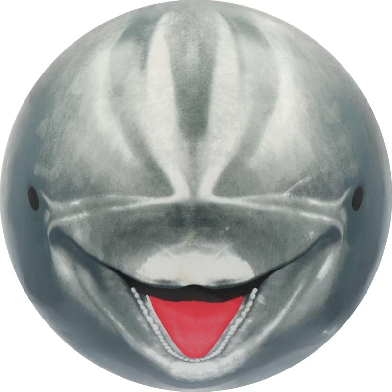 Sunflex - sunflex DIVING BALL DELFIN