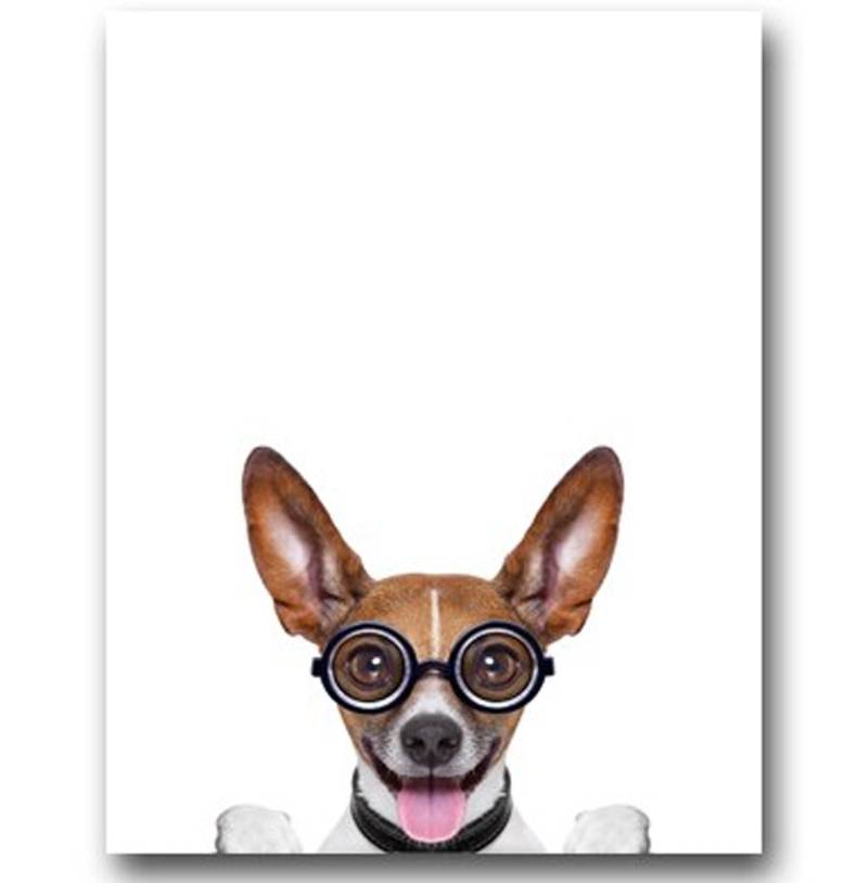 TPFLiving Poster Leinwand / Lustige Hunde mit Kopfhörer, Brille und Sektglas / mehrere Motive in verschiedenen Größen - OHNE Rahmen - Modell FB1047-A - 100x150cm