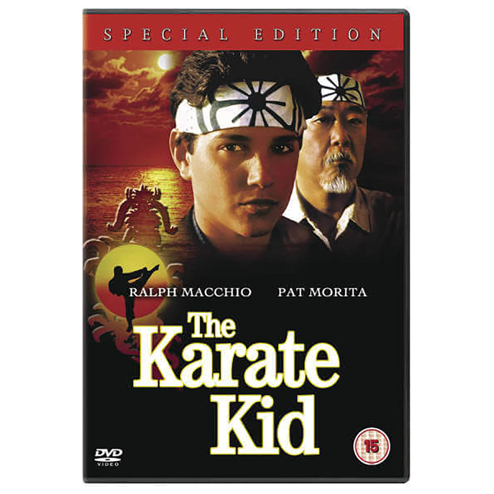 The Karate Kid [Special Edition]