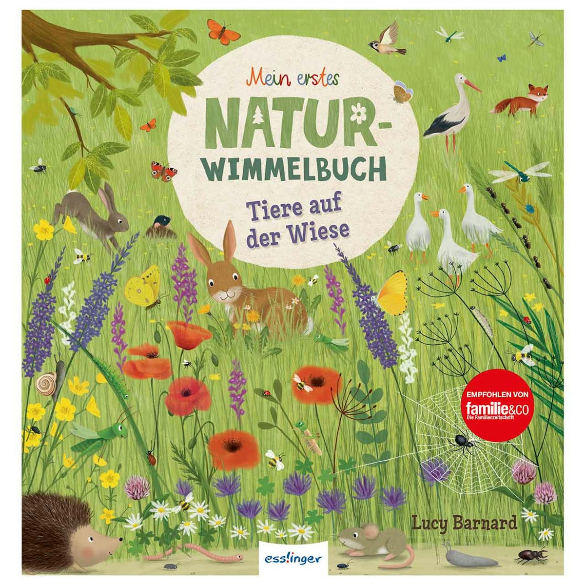 Tiere auf der Wiese – Natur-Wimmelbuch ab 2 Jahren