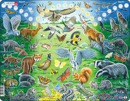 Tiere bei Tag und Nacht