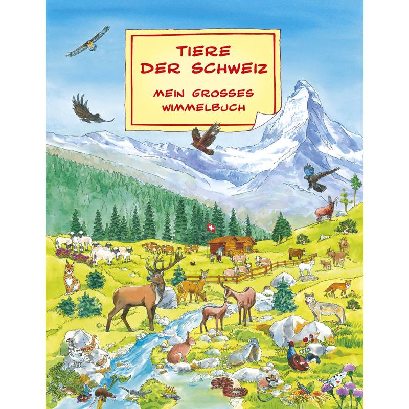 Tiere der Schweiz - Mein grosses Wimmelbuch
