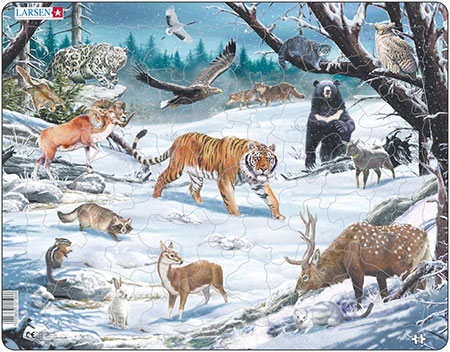 Tiere in Sibirien und Fernost Tiere in Sibirien und Fernost