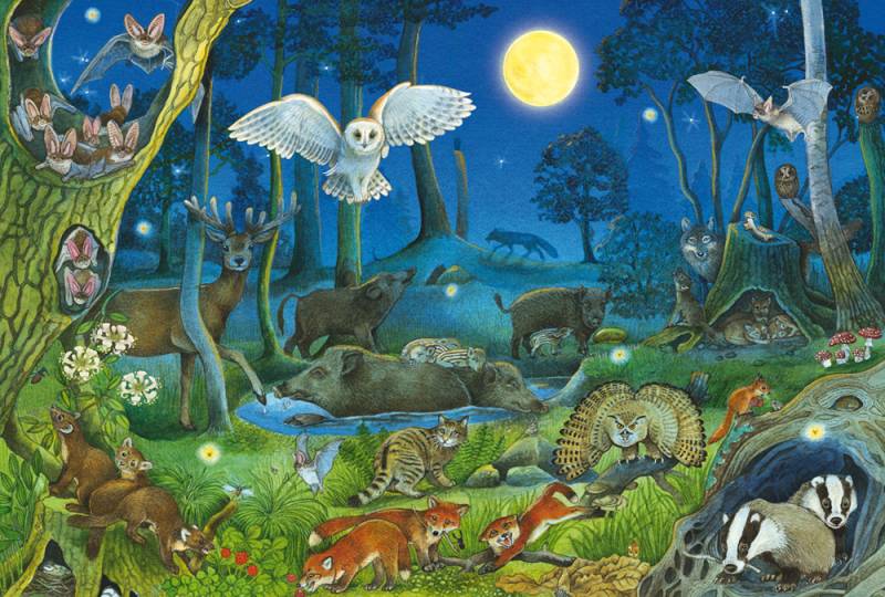 Tiere nachts im Wald
