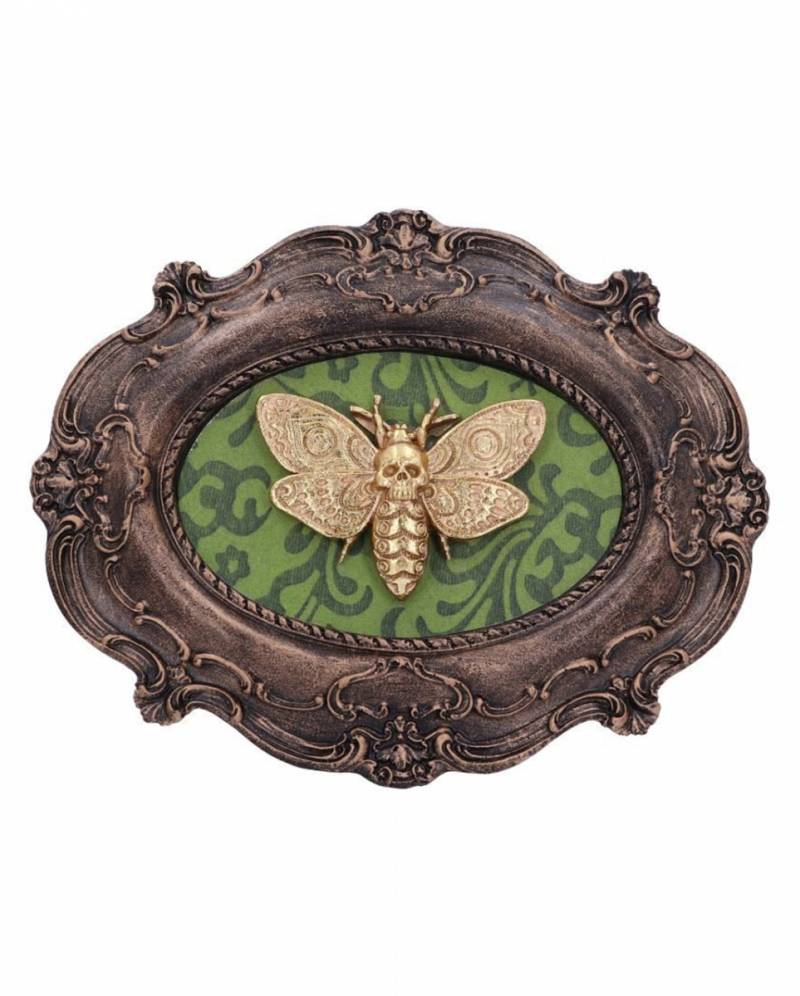 Totenkopfschwärmer Motte Wandbild