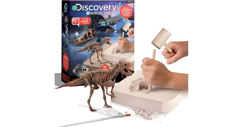 Toy Dinosaur Excavation Kit Skeleton 3D Puzzle - T-Rex