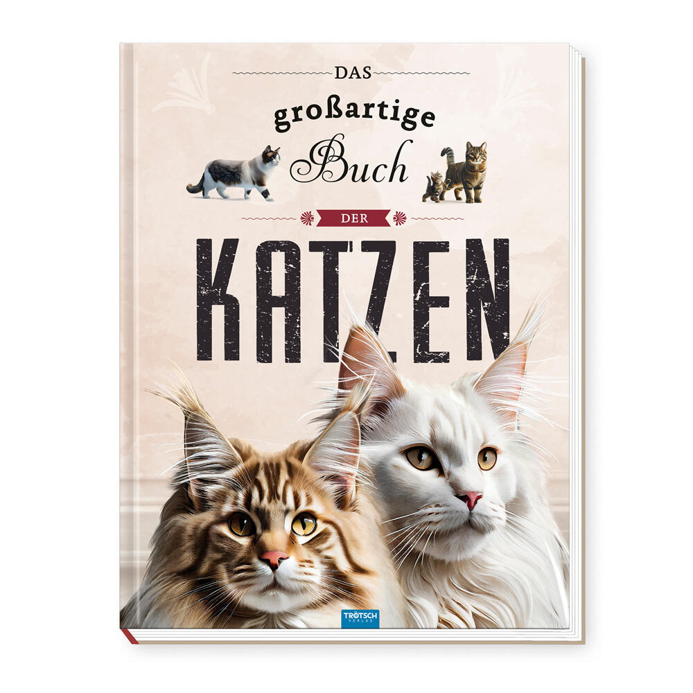 Trötsch Verlag - TRÖTSCH - Kinderbuch Das großartige Buch der Katzen