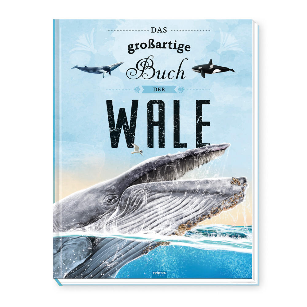 Trötsch Verlag - Trötsch Kinderbuch Das großartige Buch der Wale