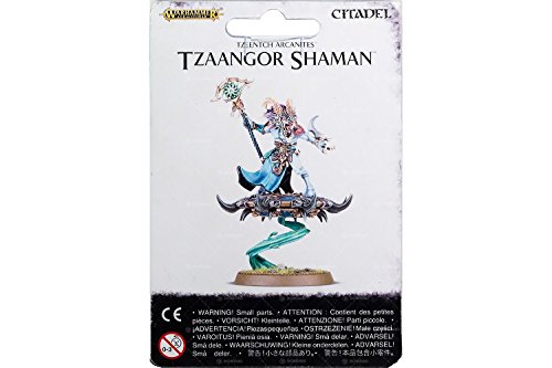 Tzaangor Shaman von Warhammer Age of Sigmar