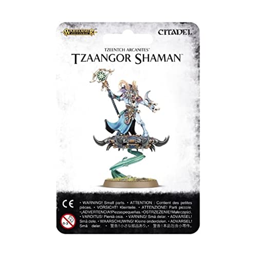 Tzaangor Shaman von Warhammer Age of Sigmar