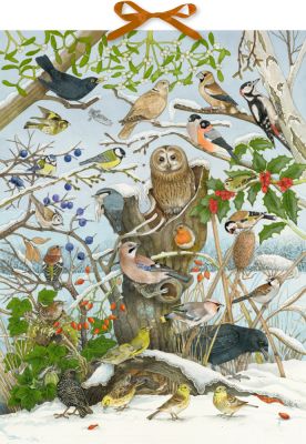 Unsere Vögel im Winter, Sound-Adventskalender Unsere Vögel im Winter, Sound-Adventskalender