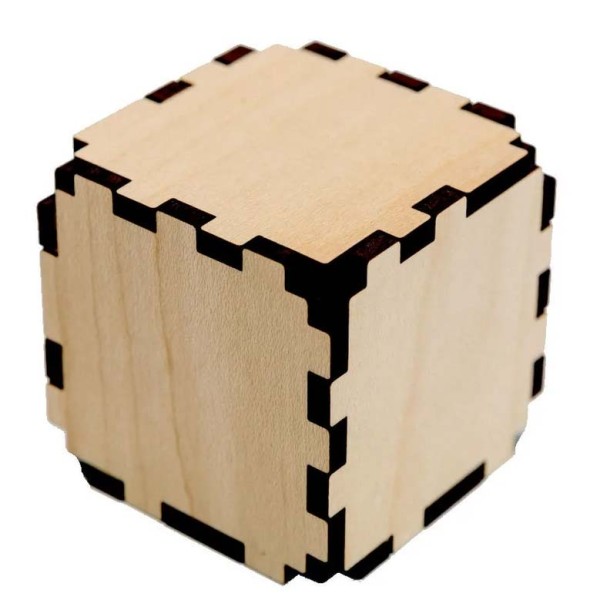 Vega Cube Brain Teaser