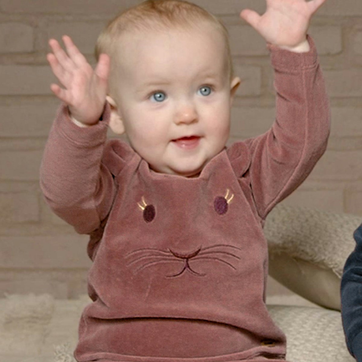 Velour Pullover Tiermotiv kräftiges altrosa 80