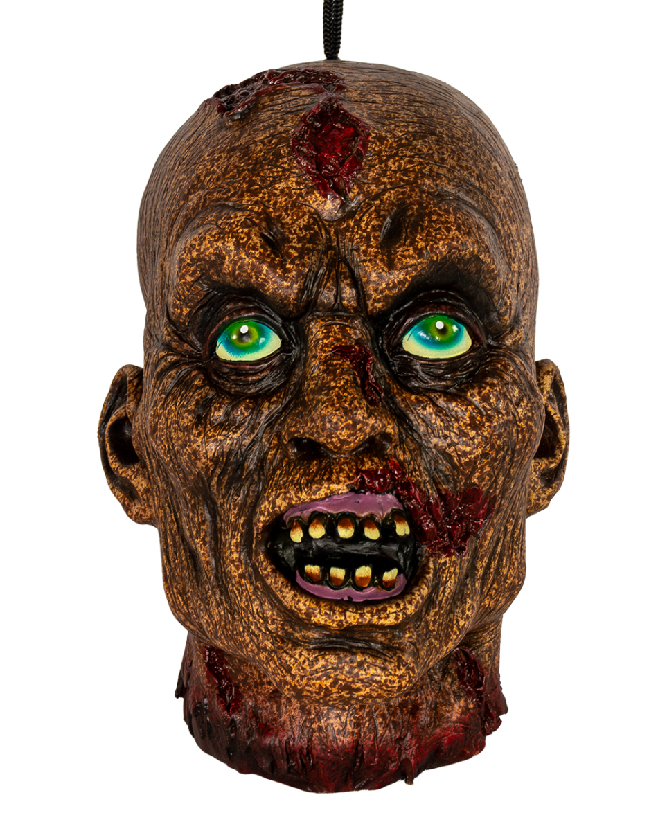Verrotteter Zombieschädel als Halloween Deko 25cm
