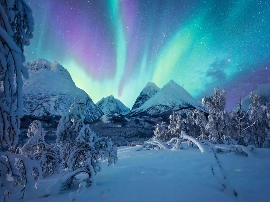 Wenn die Nordlichter tanzen