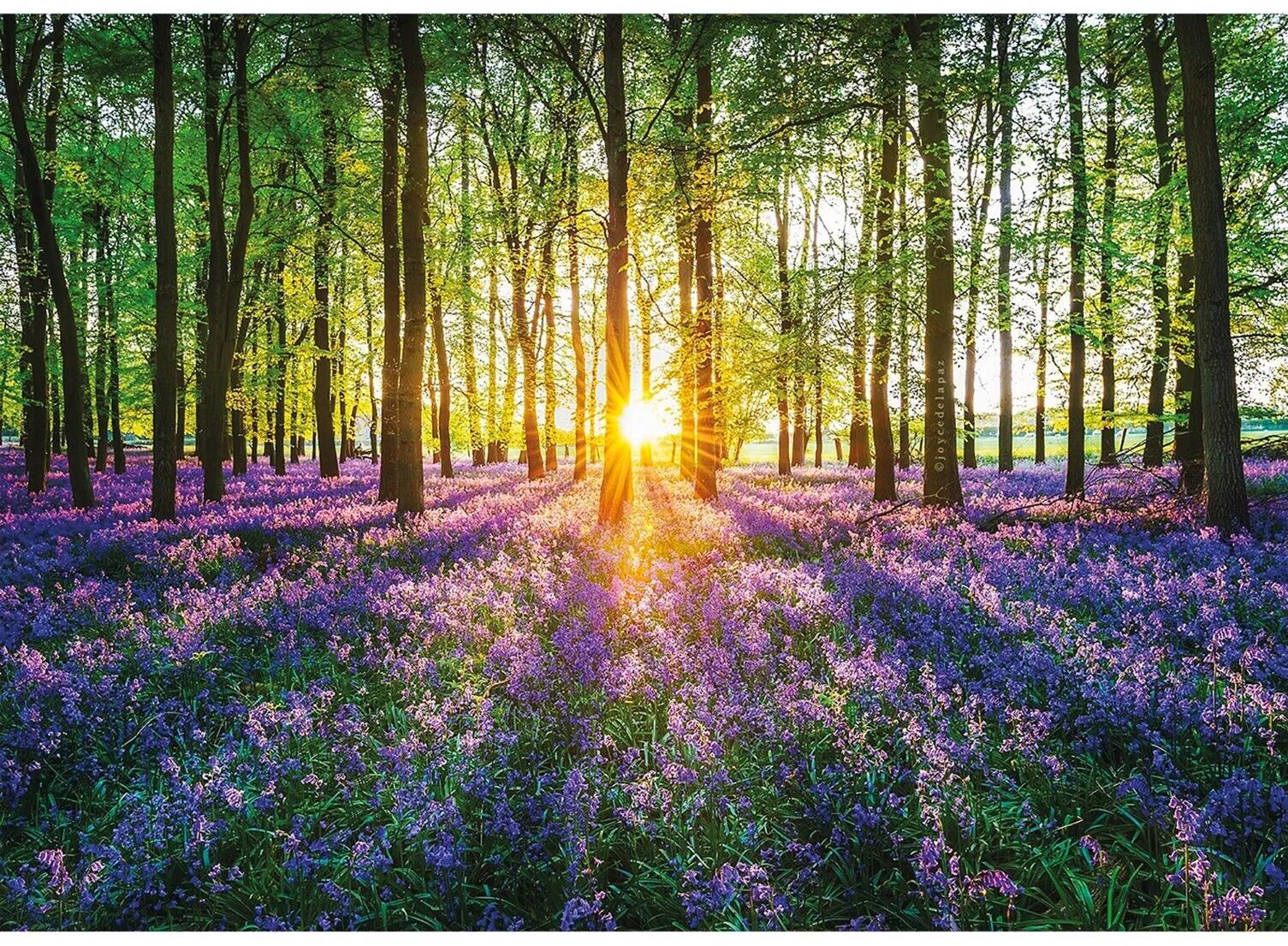 Wentworth Puzzles - Holzpuzzle / 40 Teile / Bluebells / Mini